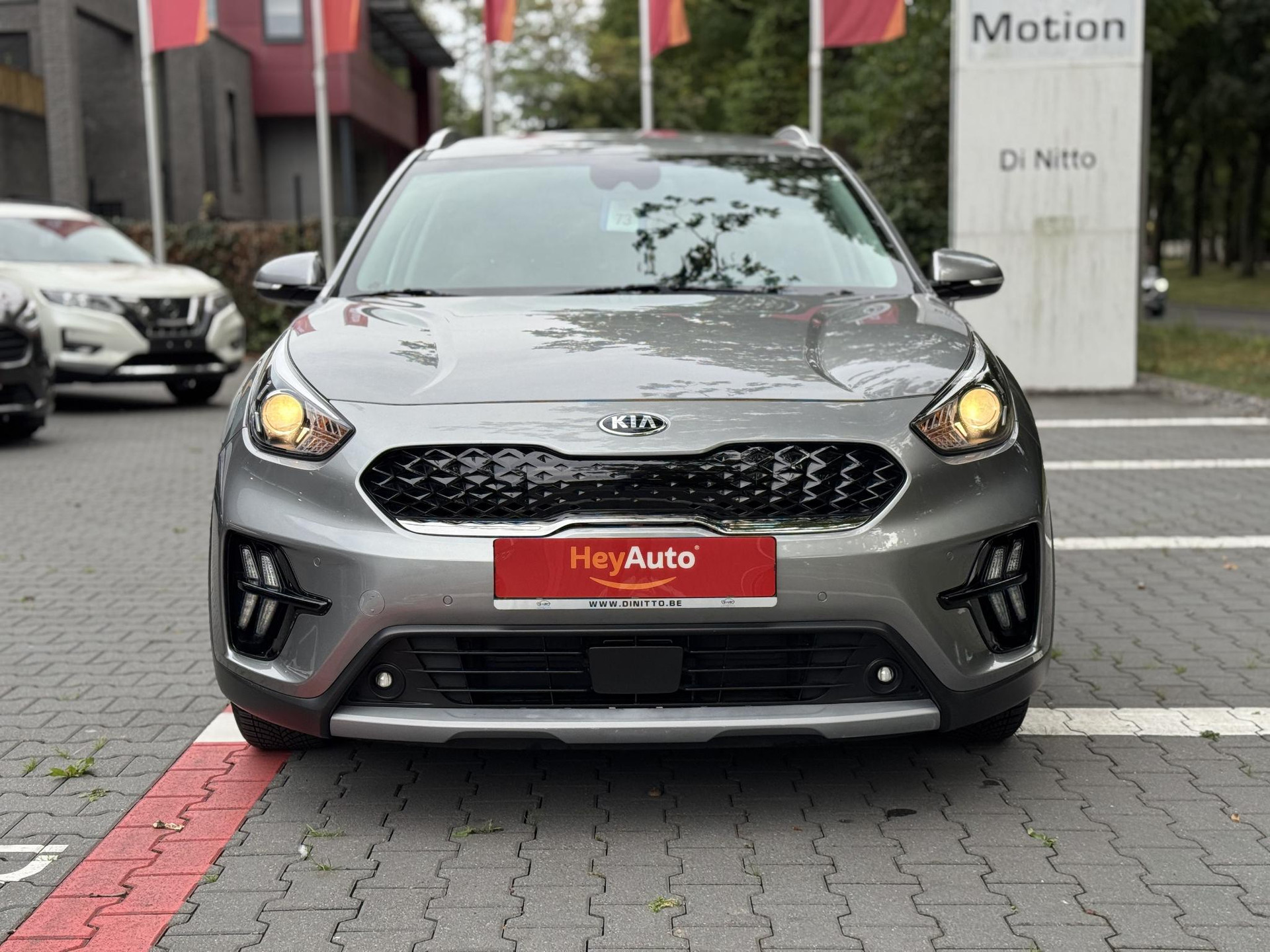 49313548-1.jpg