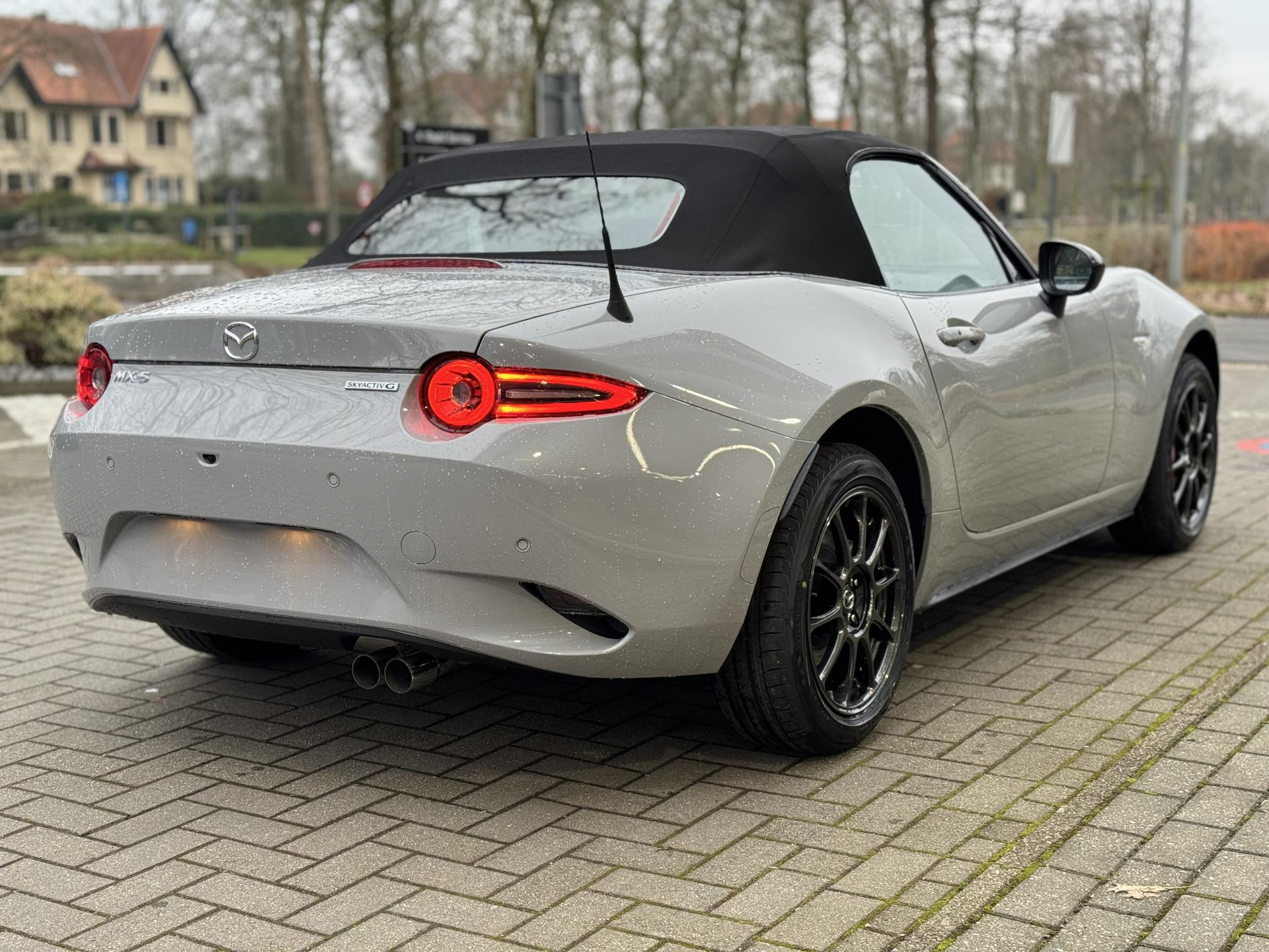 50965029-4.jpg
