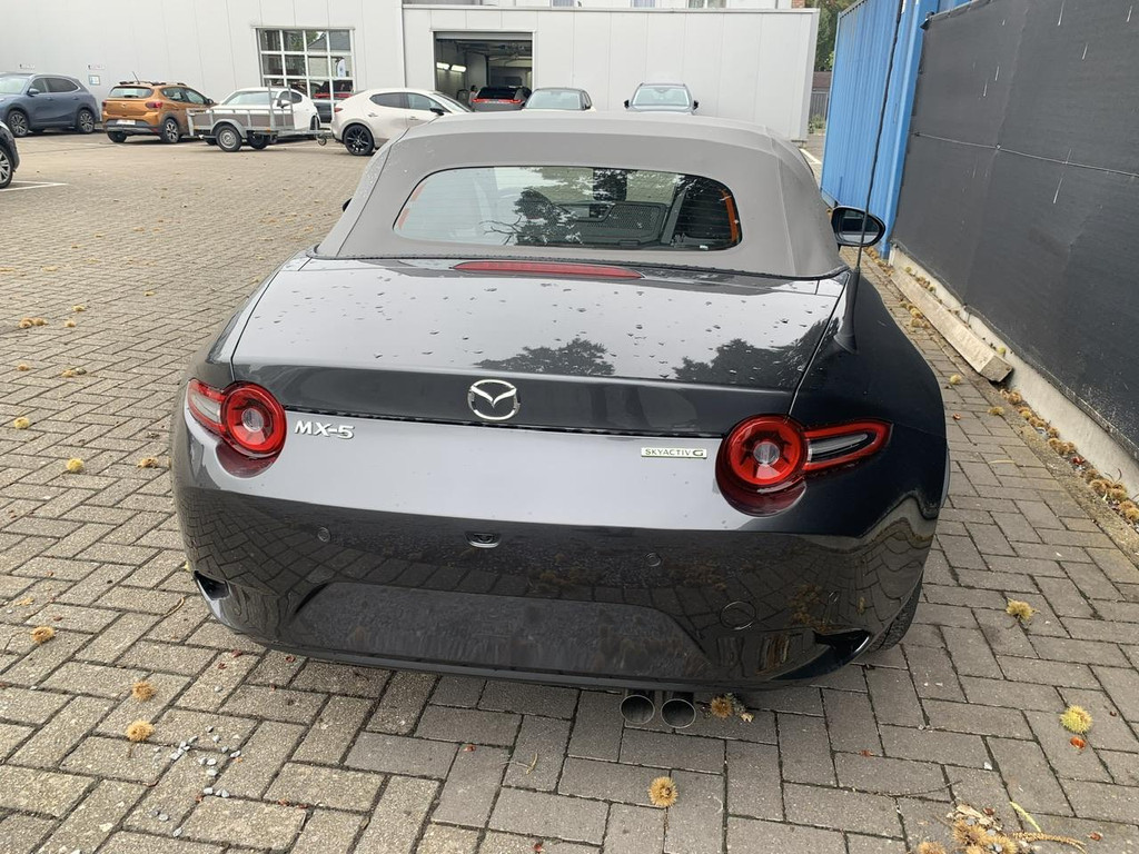 53511869-6.jpg