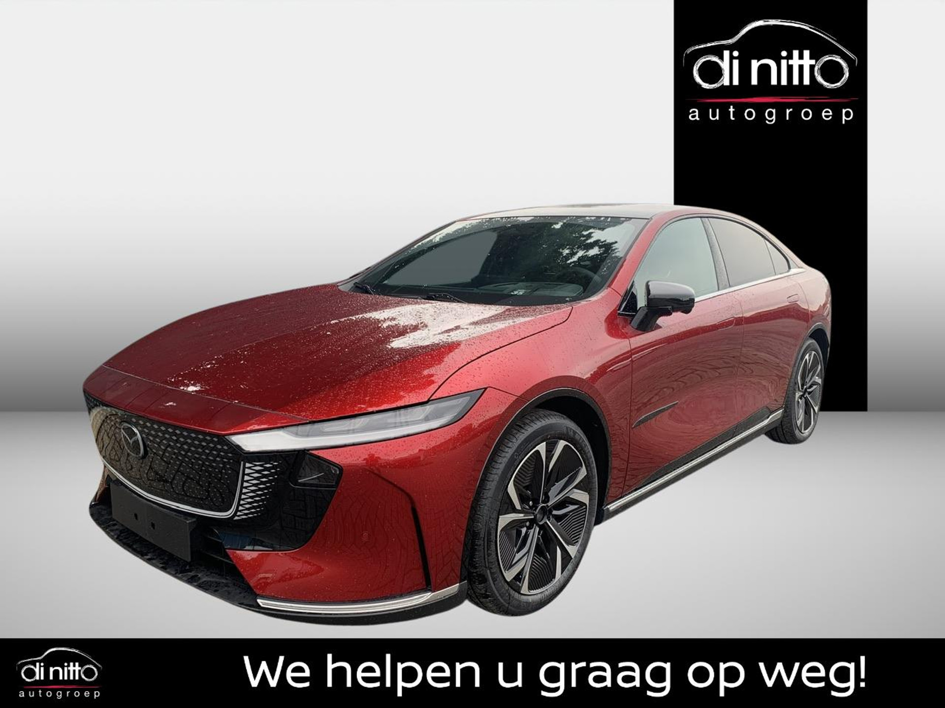 53511884