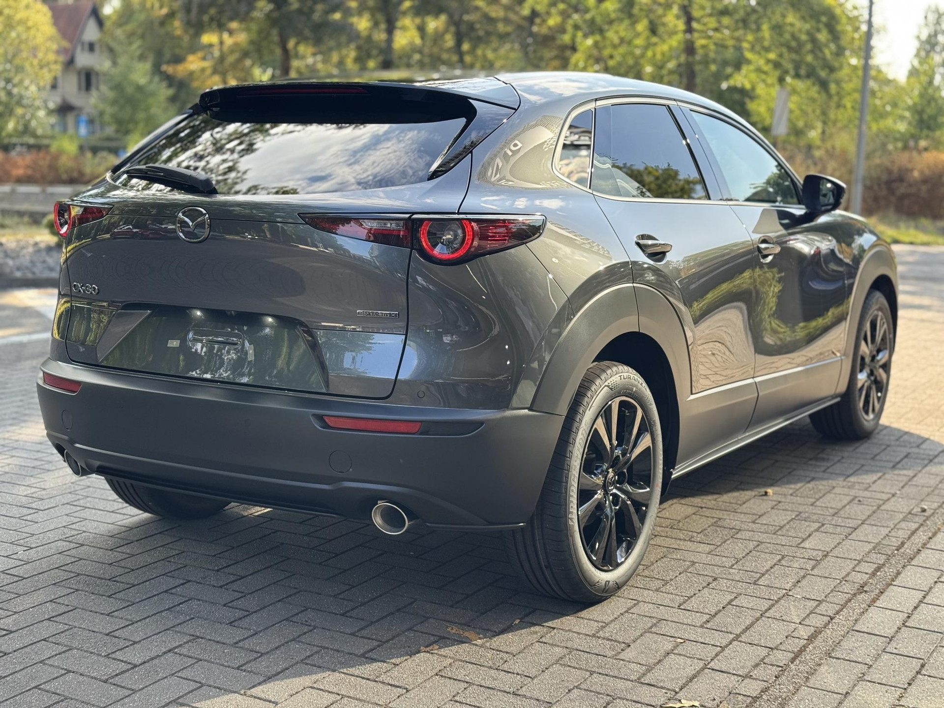 53596408-4.jpg